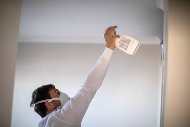Best Home Mold Removal  in Versailles, MO