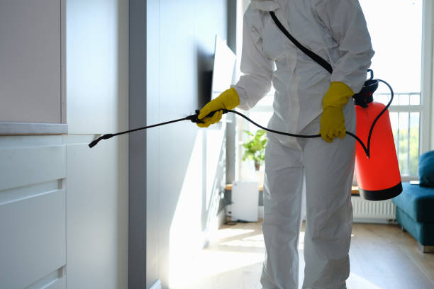 Best Office Mold Removal Services  in Versailles, MO
