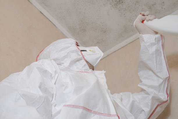 Best Mold Testing  in Versailles, MO