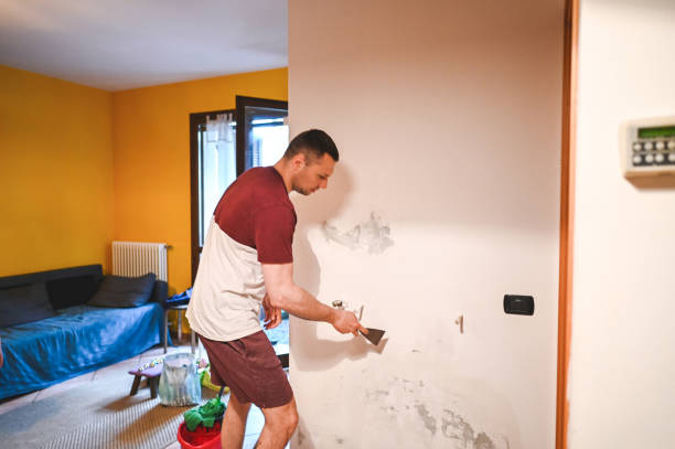Best Mold Remediation  in Versailles, MO